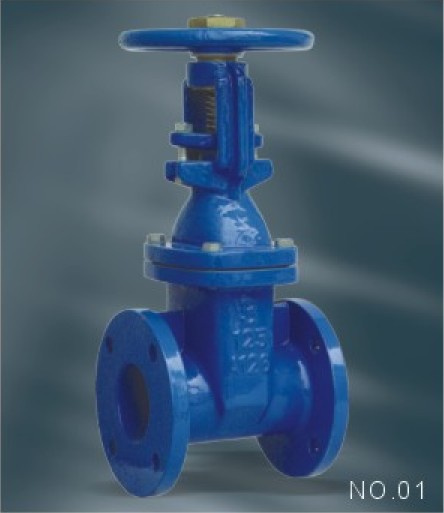 Rising Stem Resilient Soft Seated Gate Valve ANSI125/150