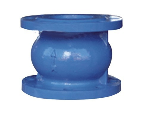 Silent Check Valve