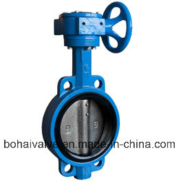 Cast Iron/Steel PTFE Seat Flange/Lug/Wafer Butterfly Valve