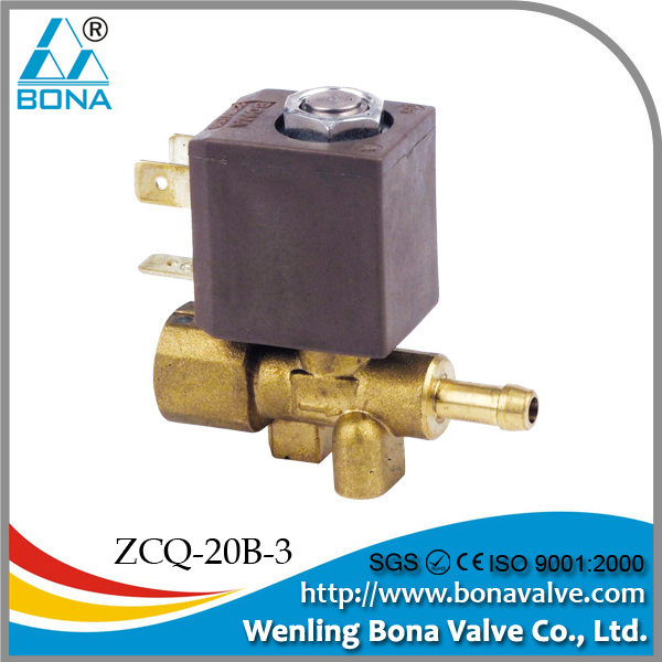 Steam Solenoid Valve (ZCQ20B-3)