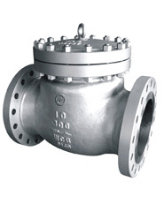 Check Valve (SUGO NO.801)