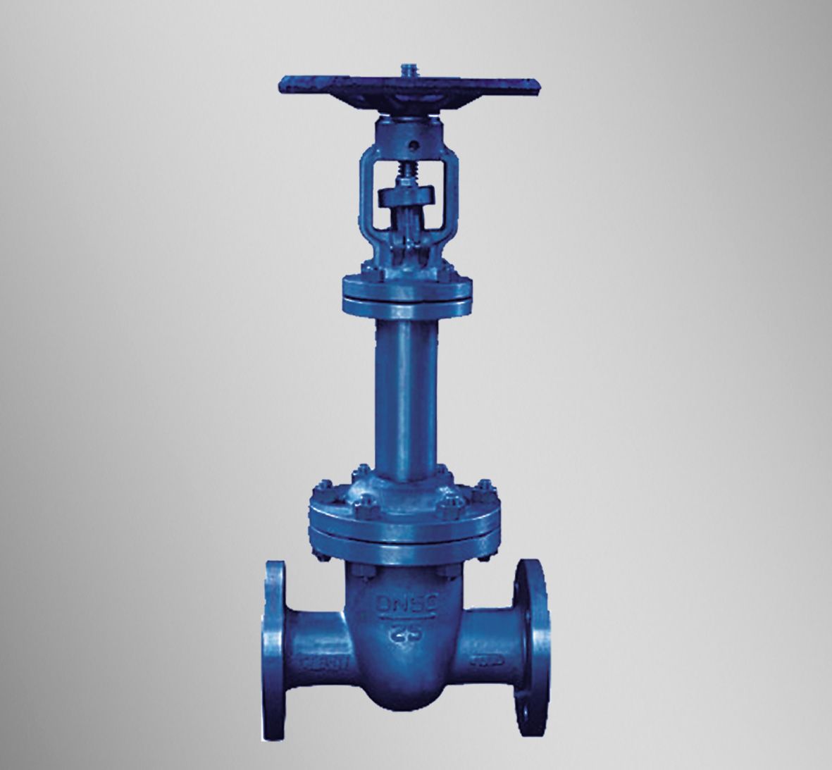 DIN Bellow Sealed Gate Valve