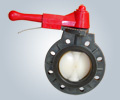 PVDF Butterfly Valve/Plastic Butterfly Valve/PVC Butterfly Valve