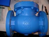 Swing Check Valve (603-F)