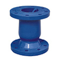 Silence Check Valve (LIFC6005)