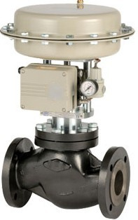 2-Port Pn & ANSI Control Valves
