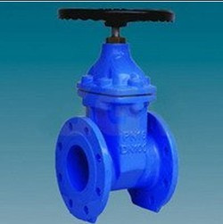 Resilient Wedge Gate Valve