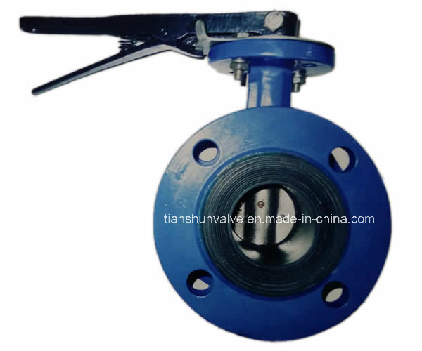 Double Flanged Butterfly Valve