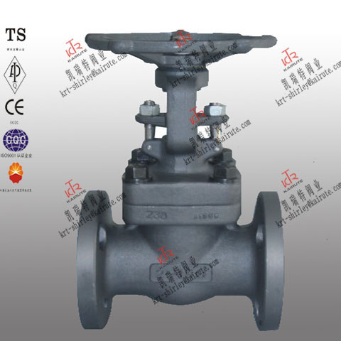 Forged Globe Valve