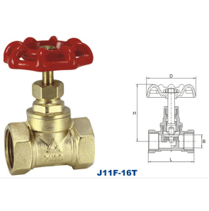 Metal Seal Brass Globe Valve (J11-16T)