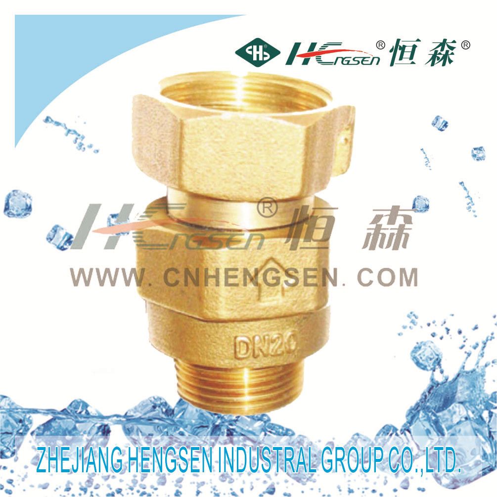 Brass Control Valve/Brass Valve