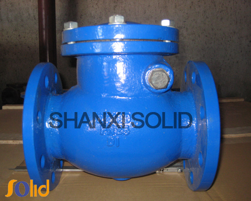 Check Valve