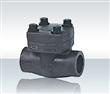 Forged Steel Check Valve