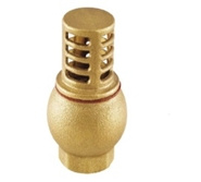 Brass Foot Valve