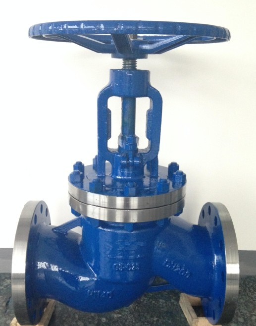 Pn40 DIN Globe Valve Wcb Turkey Market