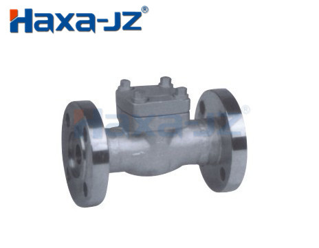 Forged Steel Flanged Check Valve