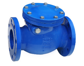 DIN Cast Iron Swing Check Valve