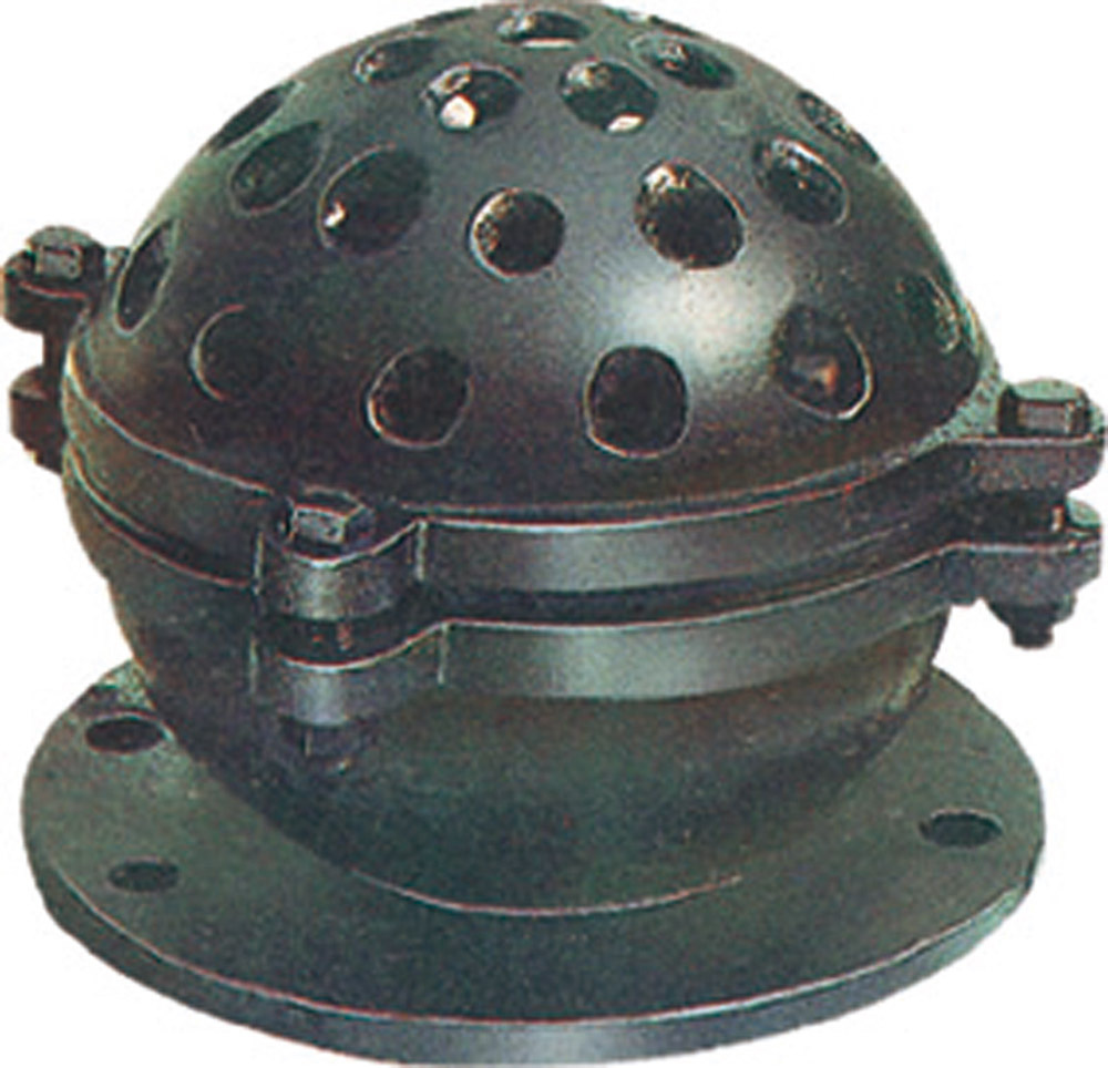 Foot Valve