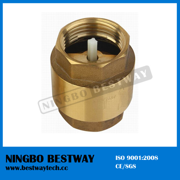 Brass Vertical Check Valve with Plastic Core
