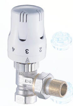 Thermostatic Radiator Angled Valve J-002 Type (BYL-6619)