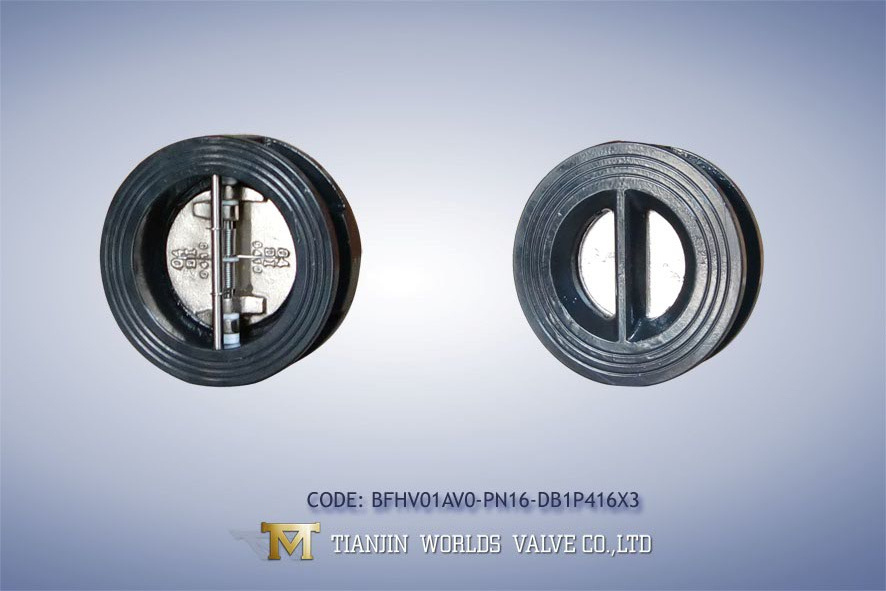 High Quality Check Valve (H77X-10/16)