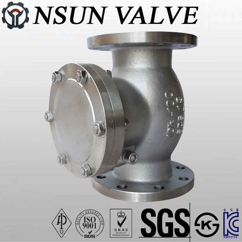 Stainless Steel Flanged Swing Check Valve