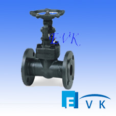 API602 Forged Steel Flange Gate Valve with Class1500