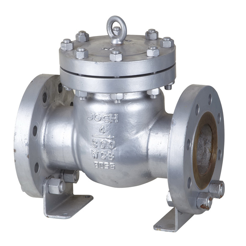 Swing Check Valve - 2