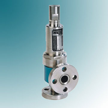 Safety Valve