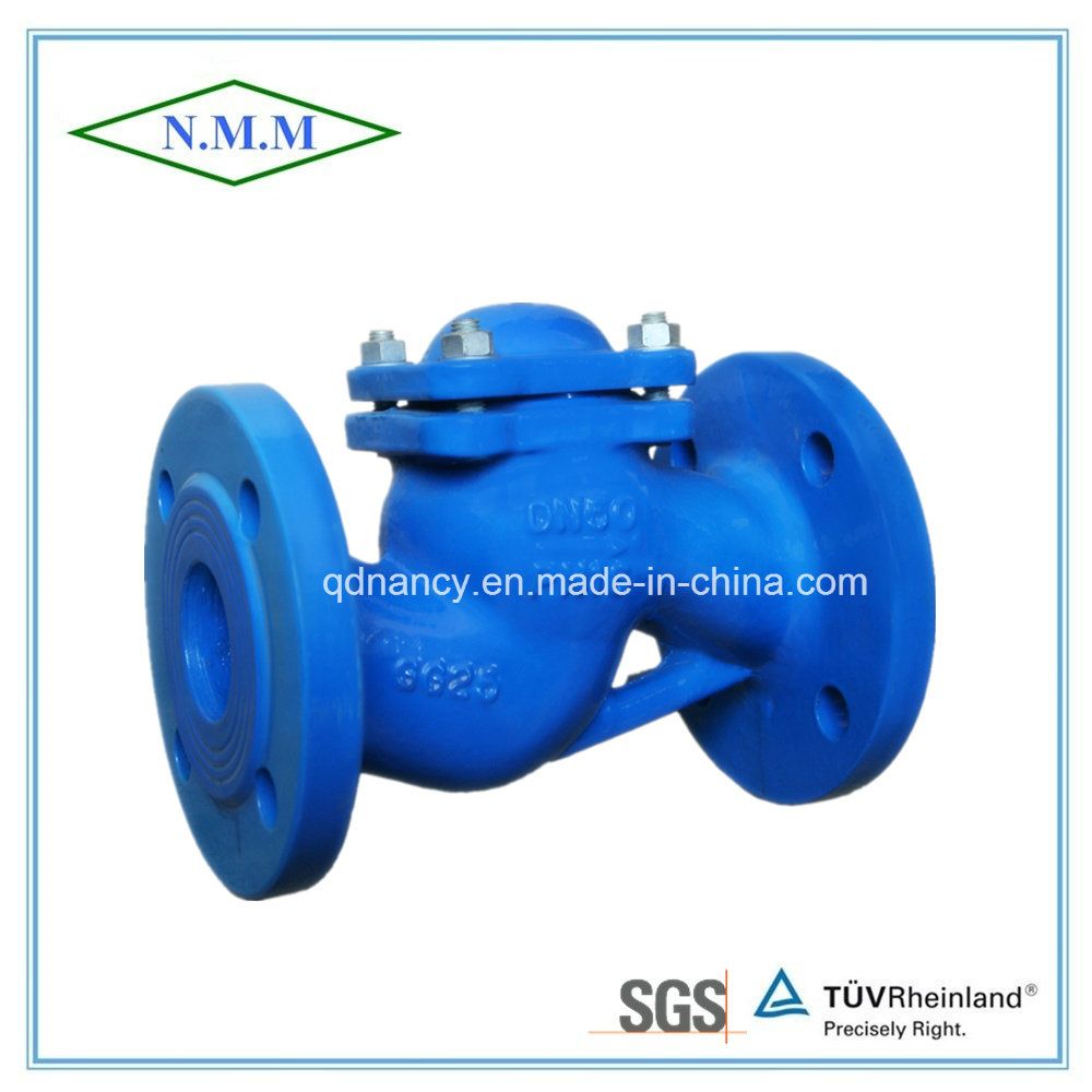 DIN Standard Cast Iron Flange End Lift Check Valve