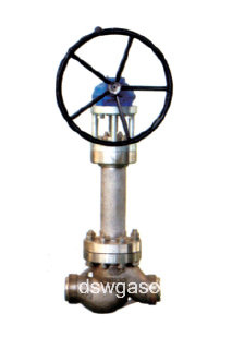 Pressure Relief Valve for LNG Tanker