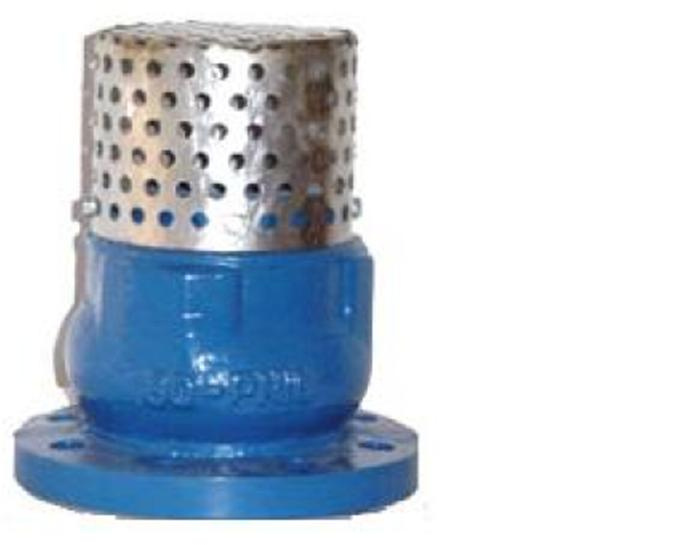 Cast Iron Flange Foot Valve