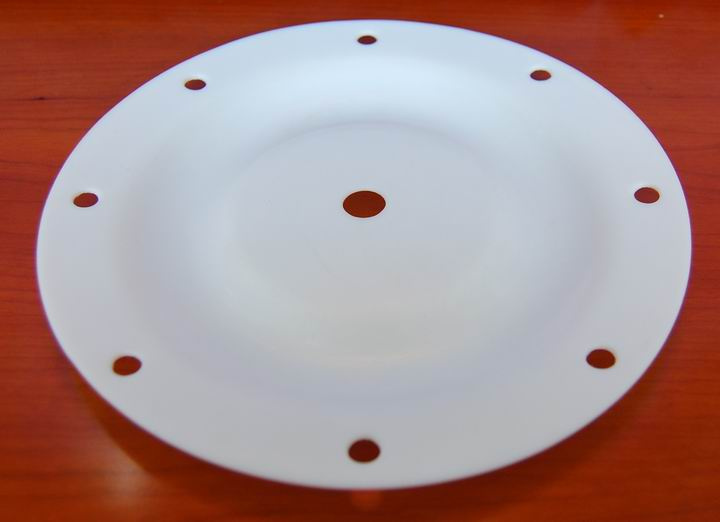 Diaghragms of PTFE for General Equipments