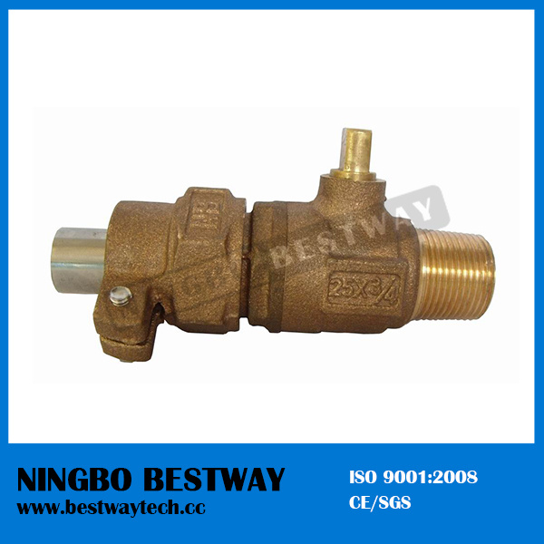 Bronze Corporation Stop Valve Manufacturer (BW-Q13)