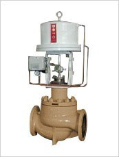 DCB Pressure-Balanced Cage Control Valve