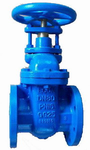 Gate Valve (029)