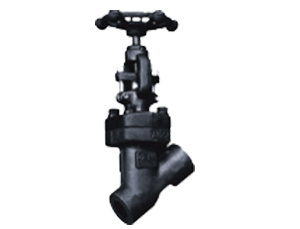 Female Threaded And Socket Welded Y Type Globe Valve