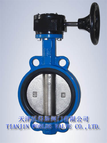 Worm Gear Wafer Butterfly Valve (D371X-10/16)