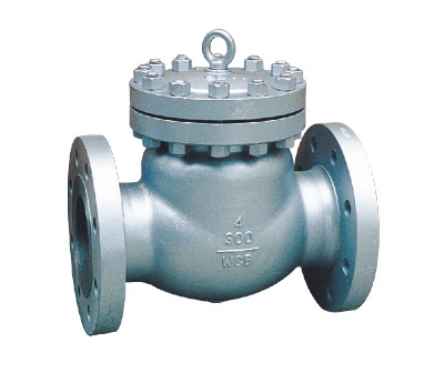 Class 300 Check Valve
