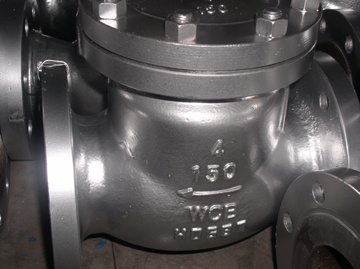 Casting Check Valve