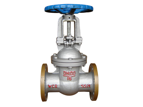 Check Valve