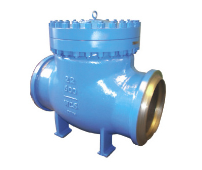 Class 600 Check Valve