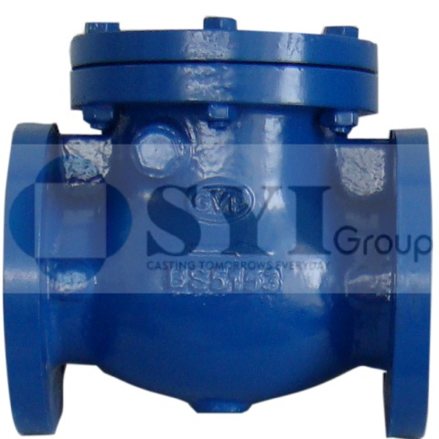 Ductile Iron Bs5153 Check Valve