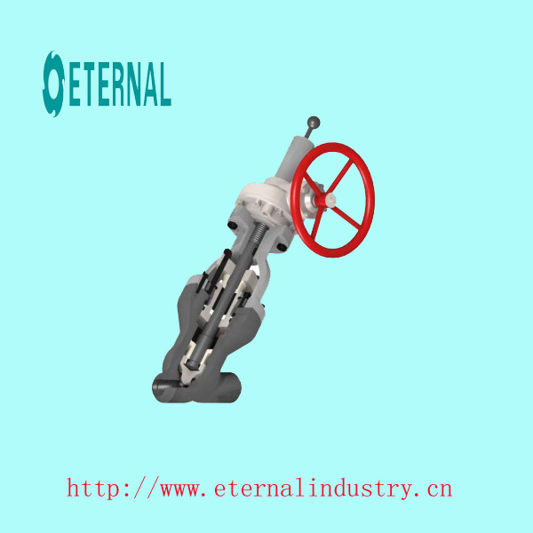 Globe Valve Body (Y type) , Pressure Seal Bonnet