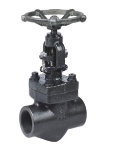 API Forged Steel Globe Valve