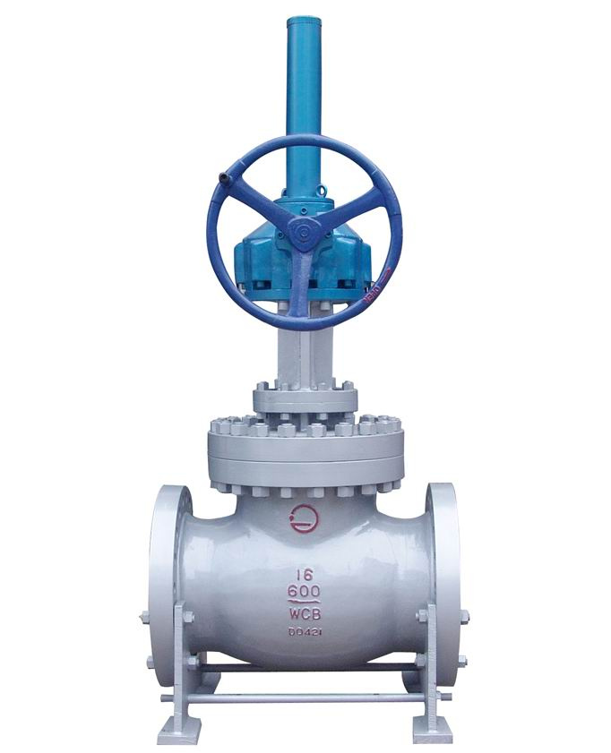 Globe Valve (CLASS 150-2500)