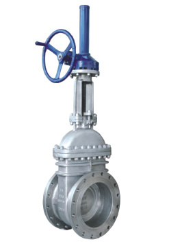 API Cast Steel Gate Valve (Z41H)