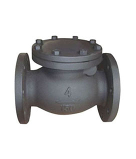 Swing Check Valve