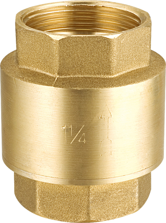 Brass Non Return Spring Check Valve Factory