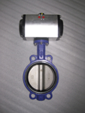 Butterfly Valve with Pneumatic Actuator